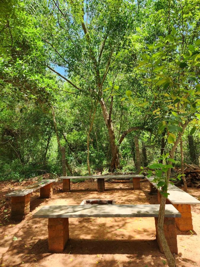 Nebula Nest Cafe & Hostel Auroville Exterior photo