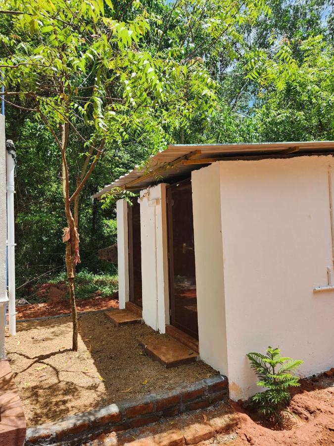 Nebula Nest Cafe & Hostel Auroville Exterior photo