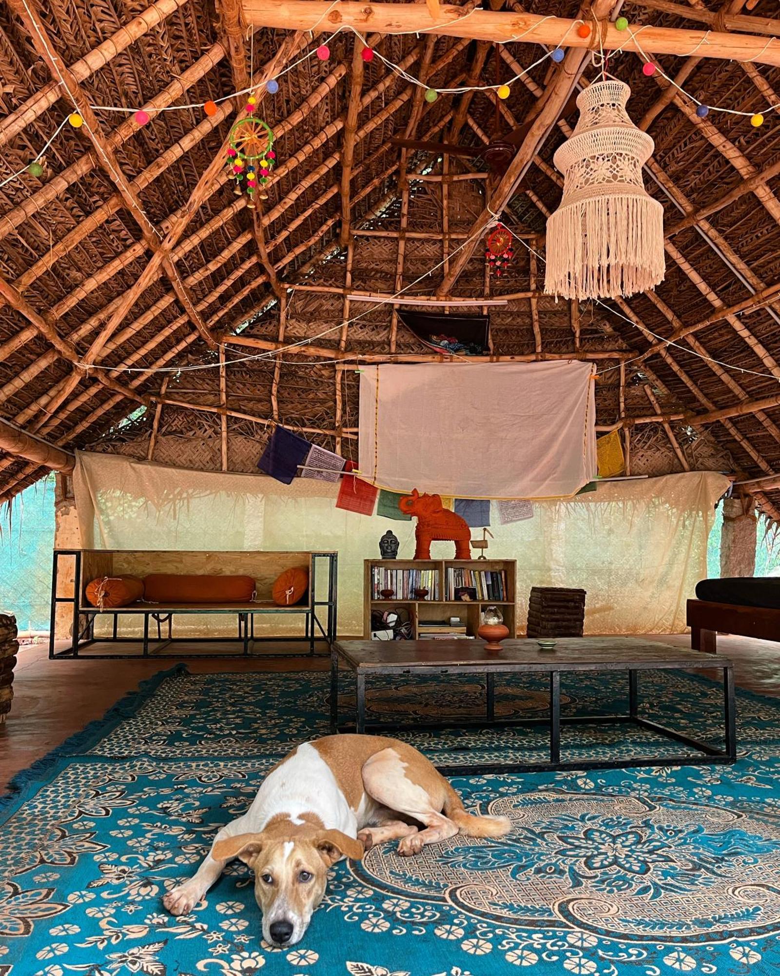 Nebula Nest Cafe & Hostel Auroville Exterior photo